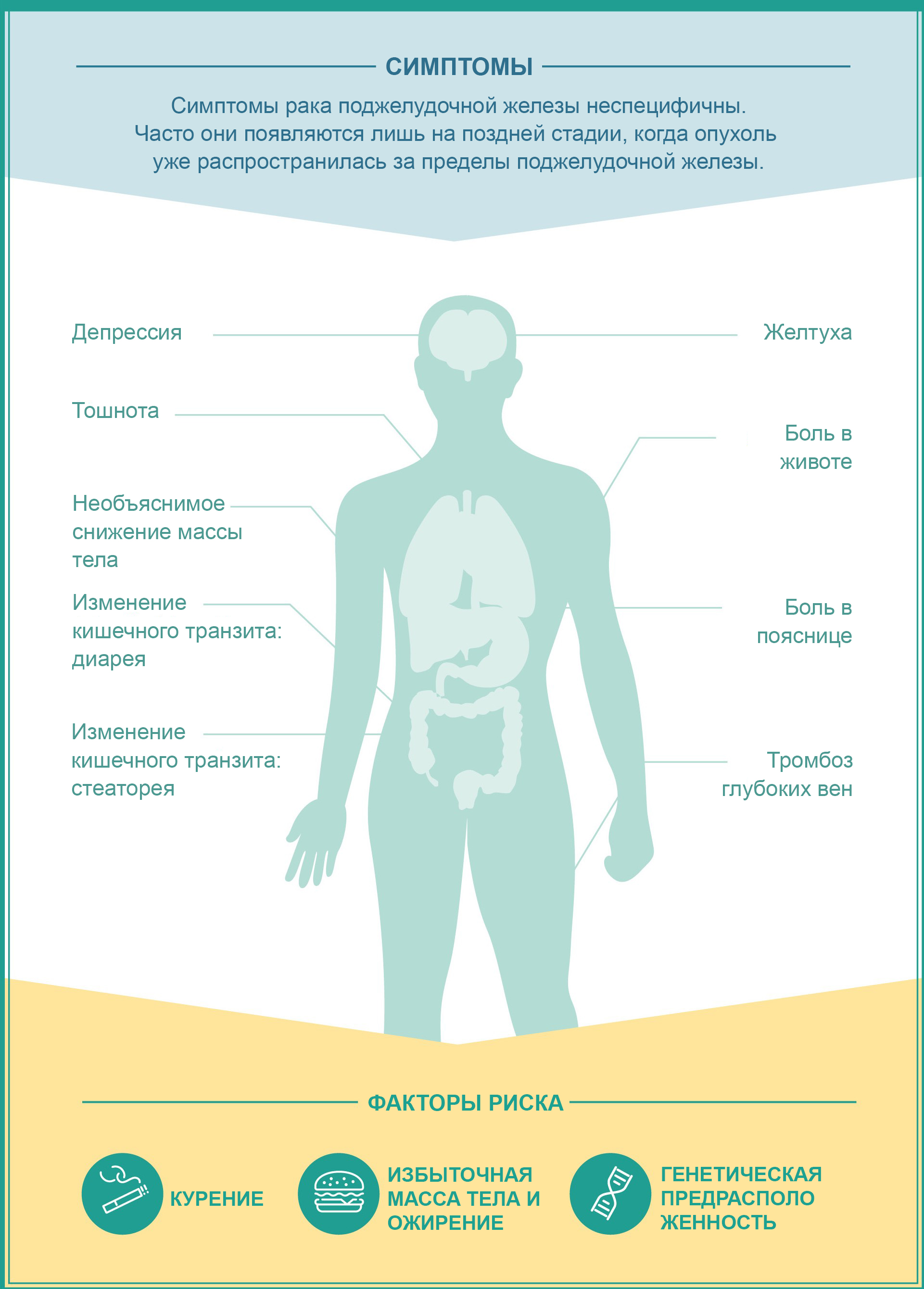 Рак поджелудочной признаки и симптомы. Первые симптомы онкологии поджелудочной. Онкология поджелудочной железы симптомы. Опухоль поджелудочной железы симптомы у женщин. Как распознать онкологию в организме.